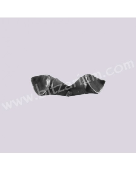 Oreilles 5