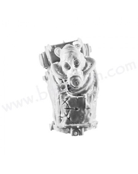 Torso D