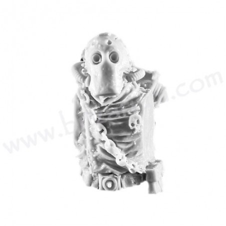 Torso E