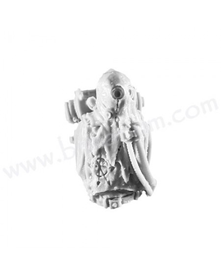 Torso G