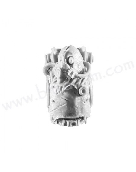 Torso H