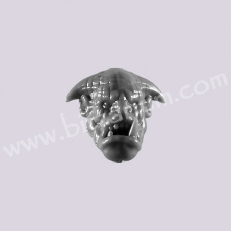 Head 4