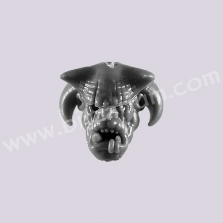 Head 5