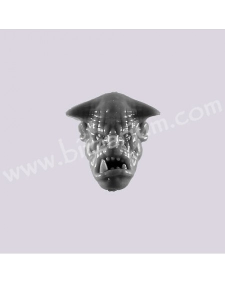 Head 6