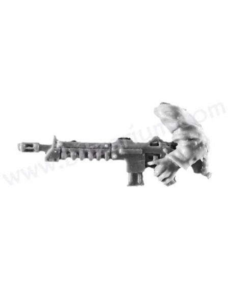 Fusil d'Assaut 5
