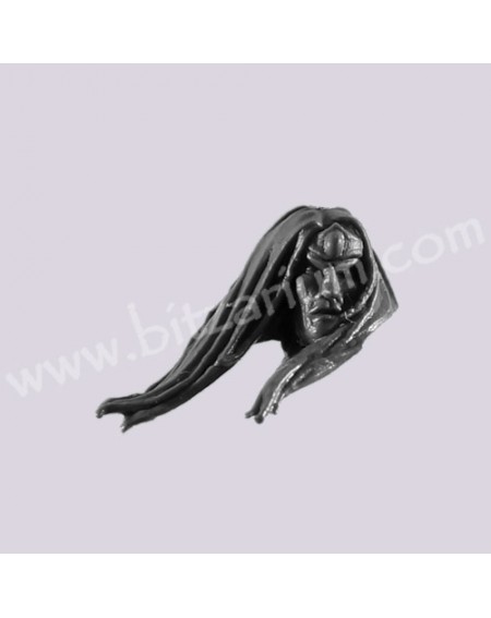 Head 1