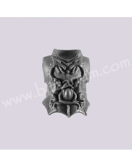 Torso