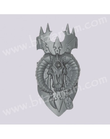 Champion shield 1
