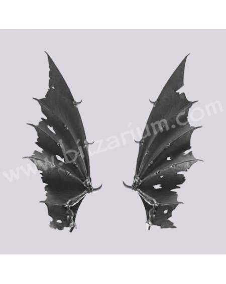 Ailes de Dragon