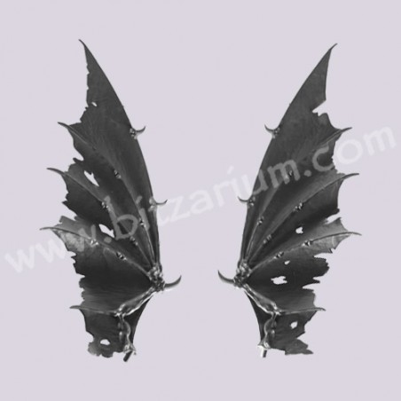 Ailes de Dragon - Despote sur Dragon Noir