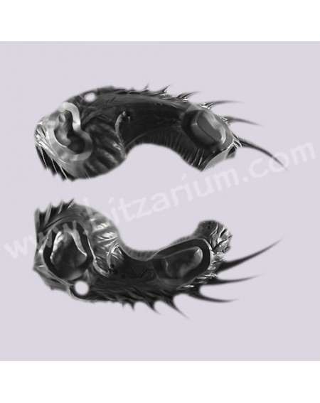 Corps de Dragon