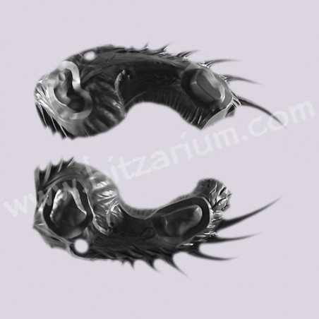 Dragon Body - Dreadlord on Black Dragon