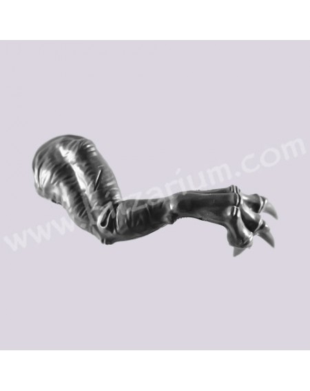 Front Leg 1