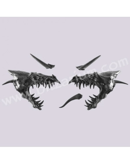 Tête de Dragon 1