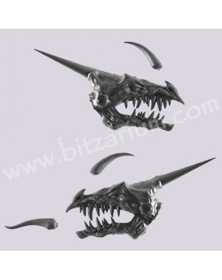 Tête de Dragon 2