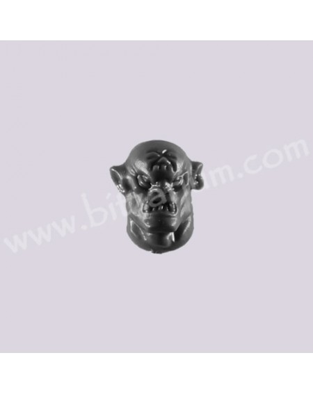 Head 6