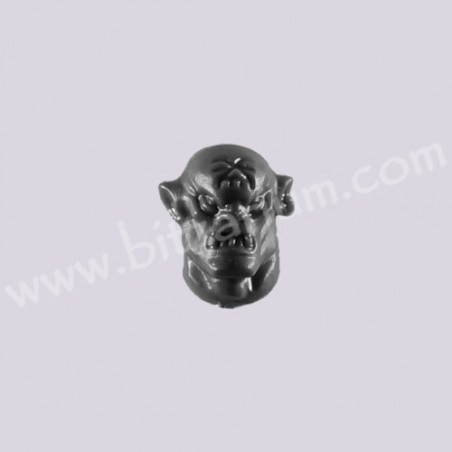 Head 6