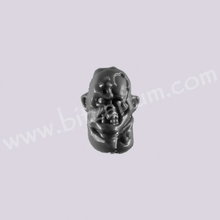 Head 7
