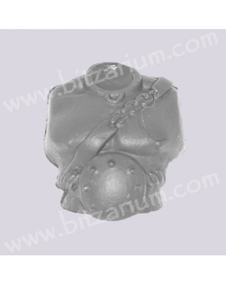 Torse 2