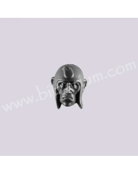 Head 3