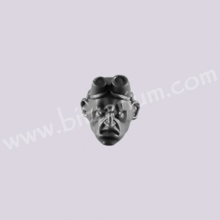 Head 5