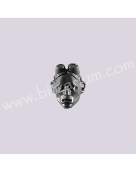 Head 6