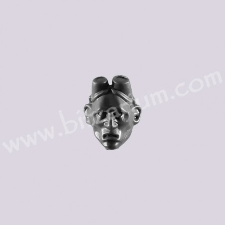 Head 6