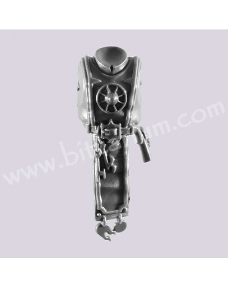 Torso