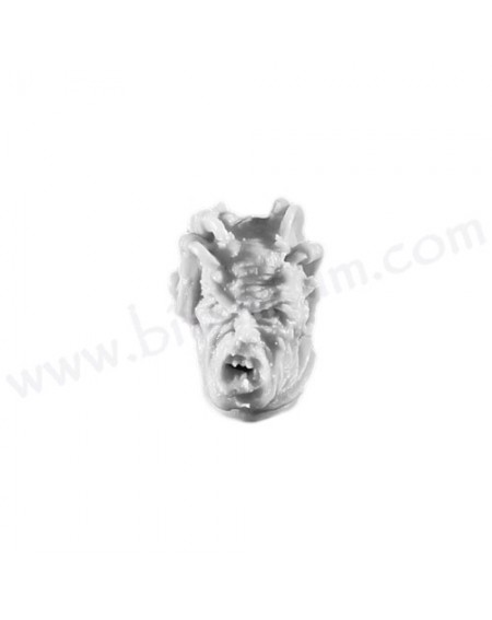 Head 4