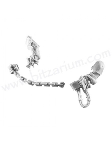 Chain 1