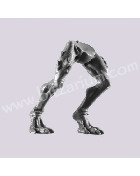 Jambes 1