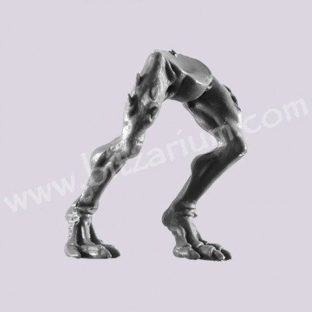 Jambes 1
