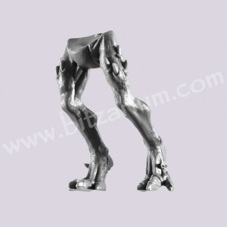 Jambes 2