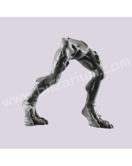 Legs 3