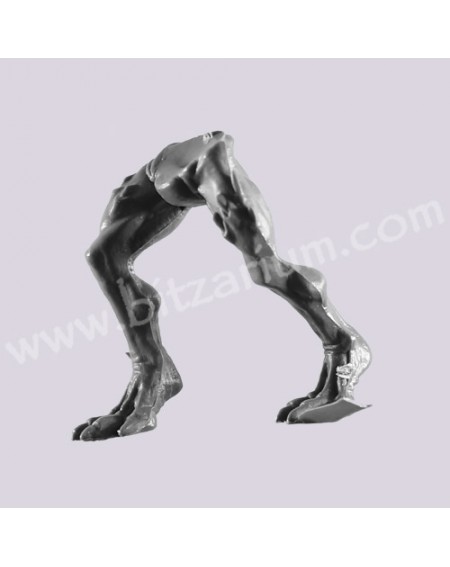 Jambes 4