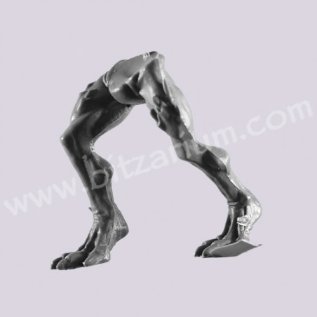 Legs 4