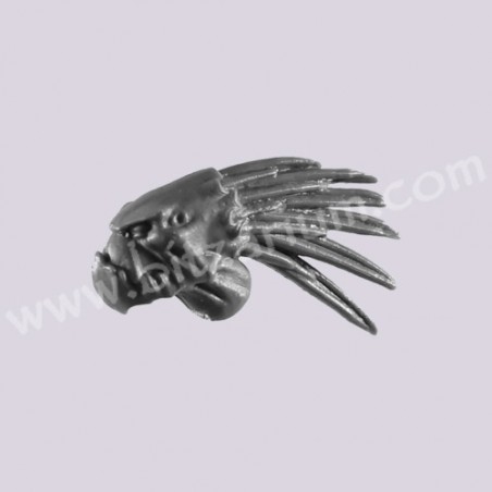 Head 1