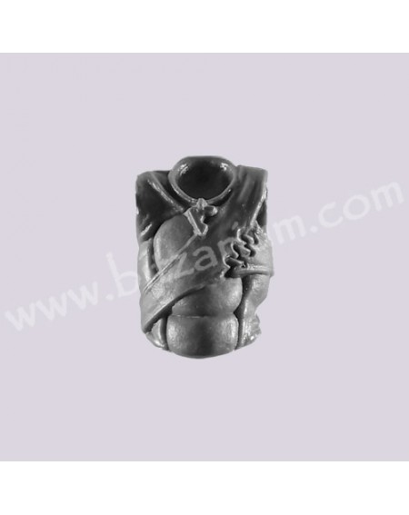 Torso 1
