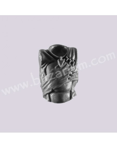 Torso 2