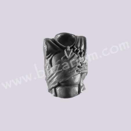 Torse 2
