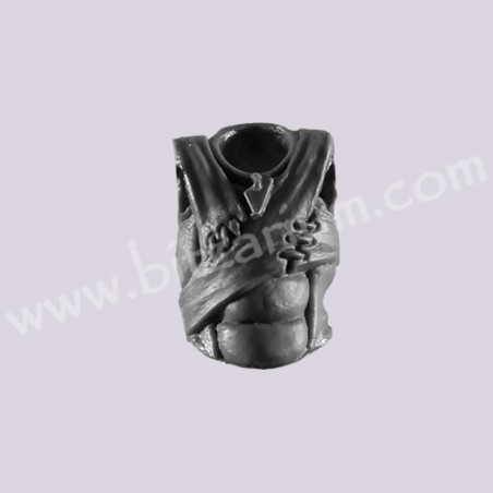 Torse 4
