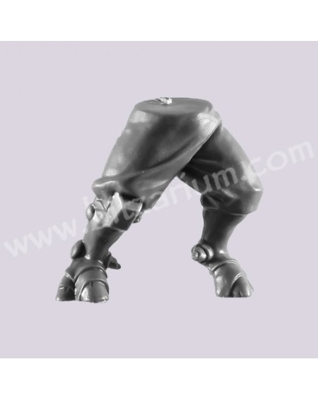 Jambes 2