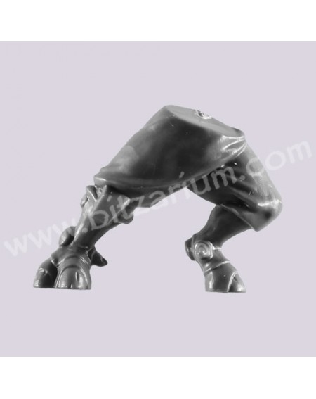 Jambes 5