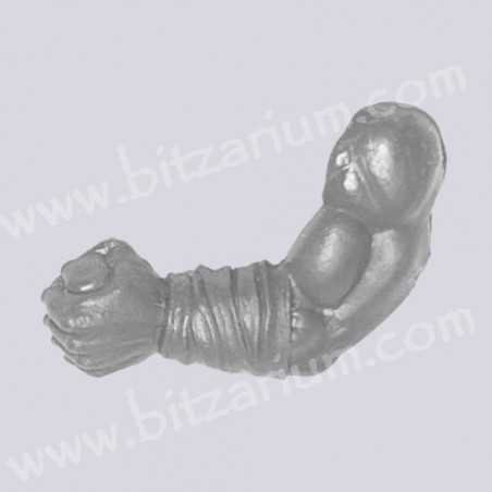 Left Arm 1