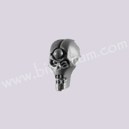 Head C