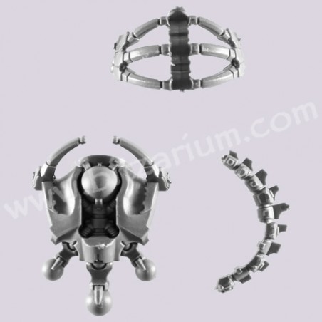 Back Torso 1