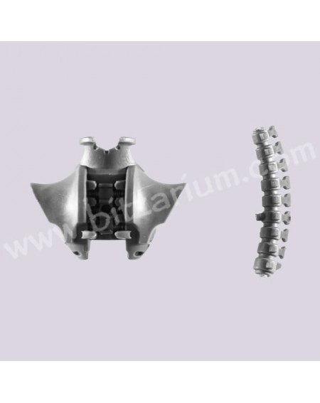 Back Torso 5
