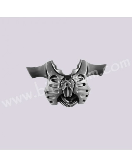 Front Torso