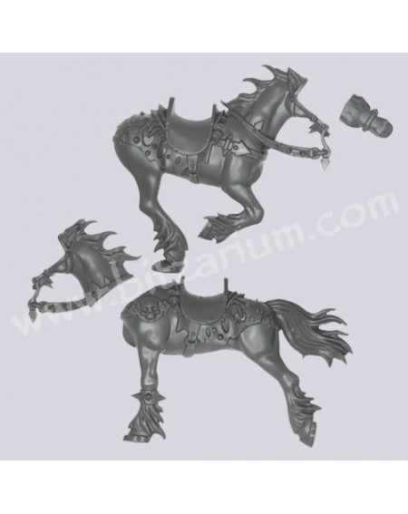 Horse 2
