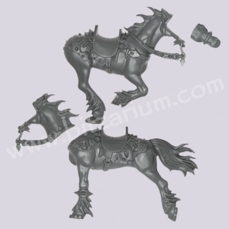 Horse 2